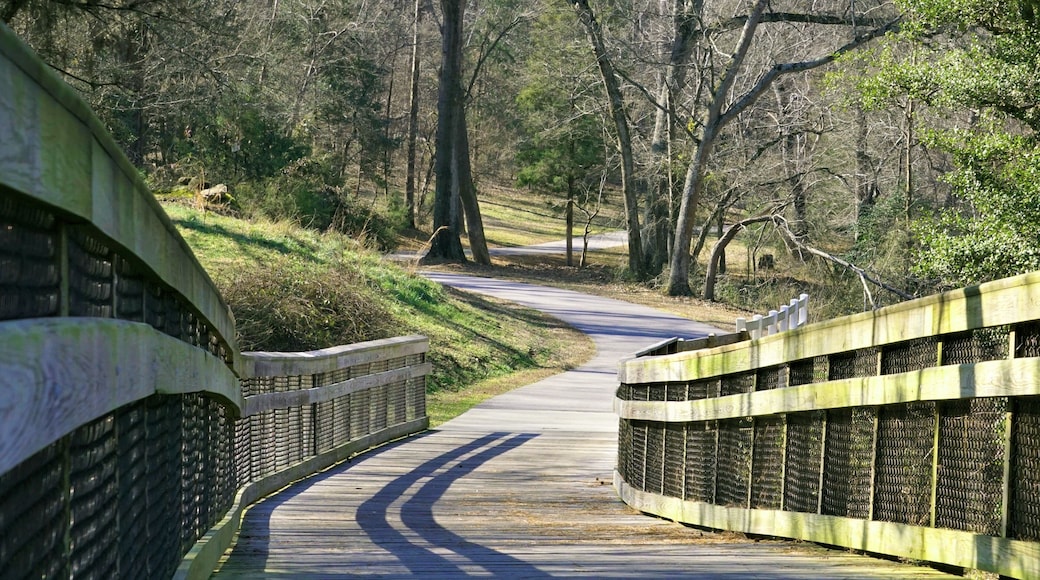 A green-way trail along the Neuse river in Raleigh, North Carolina