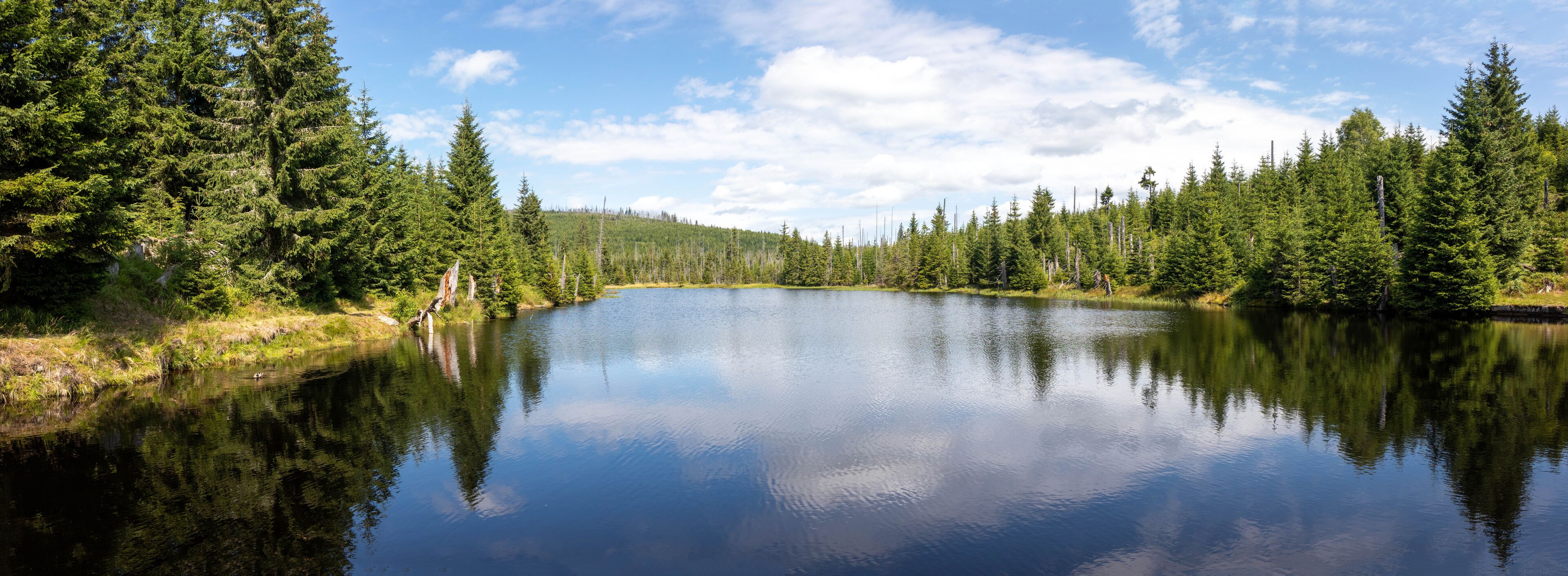 Small lake in the forest near the source of the Vltava River Bohemian Forest, Czech Republic