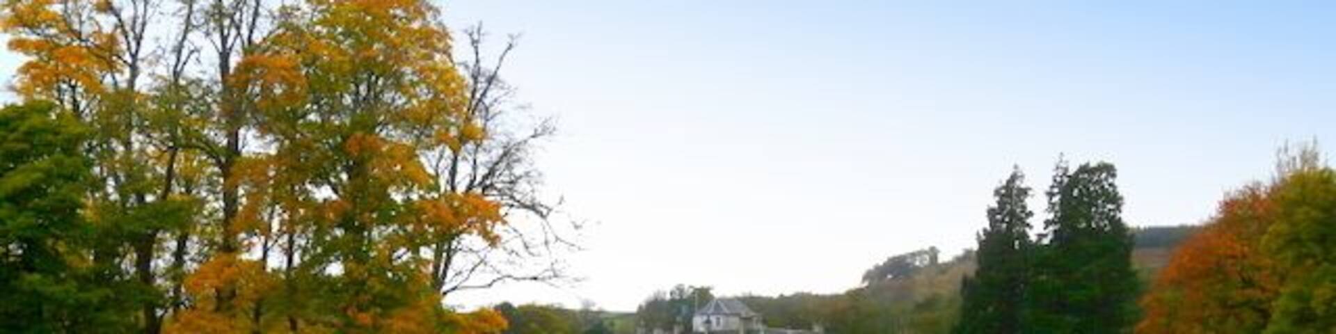 Looking towards Foulis Castle