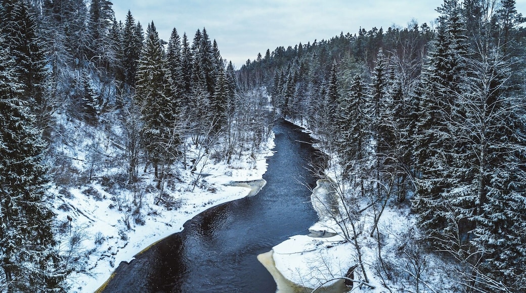 Primeval valley of river Brasla in Gauja National Park, Latvia in Winter. Would you like to take your canoe for a ride here? It's easy to do and a wonderful adventure, especially in winter.
#nature #river #gaujanationalpark #latvia