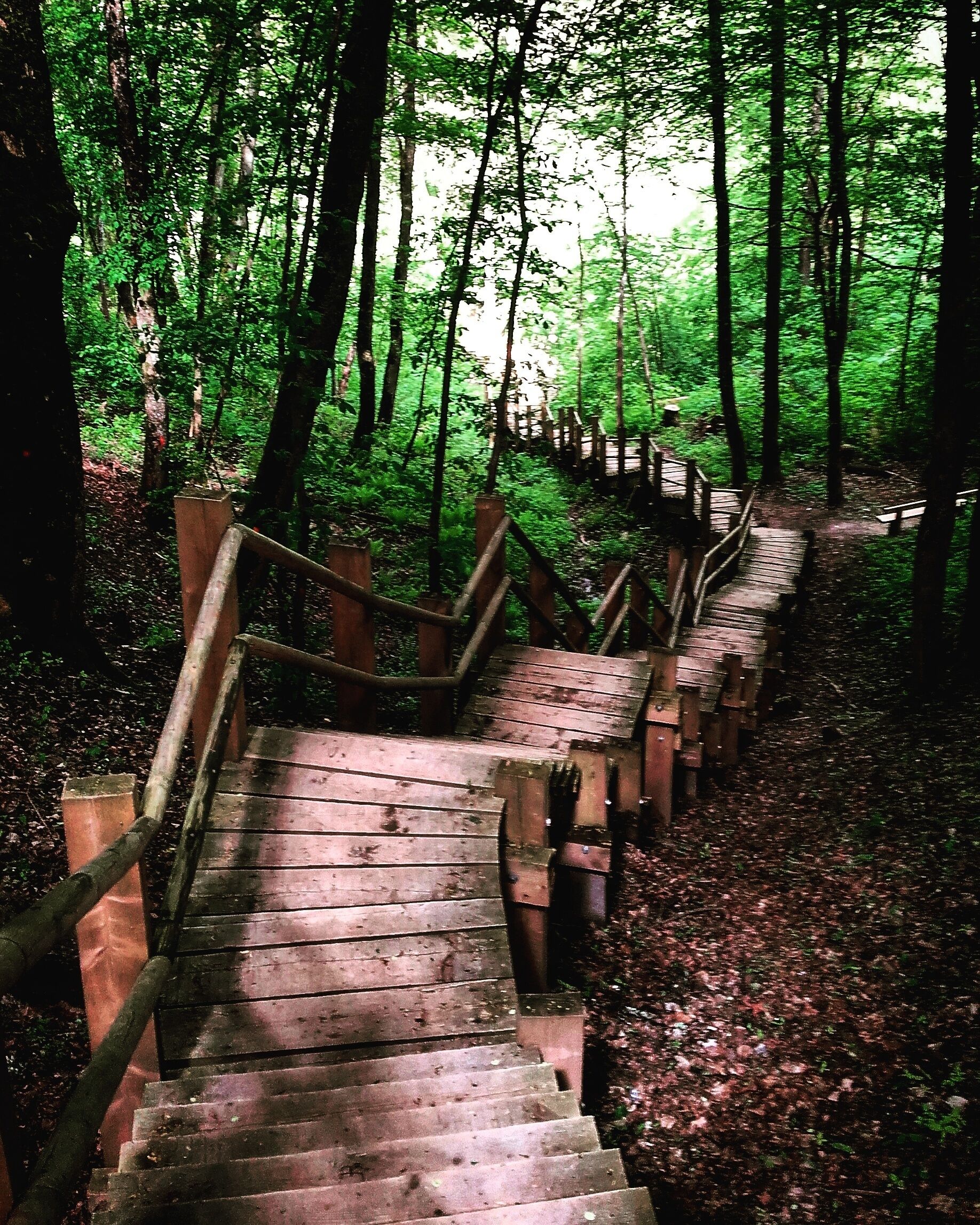 Entering Gauja national park. The descent to the woods was epic n it is a wonderful park, however poor on directions, so be aware😃
About over an hour's ride from Riga n totally worth it😃
#latvia #latvian #nationalparks #nature #wild #descent #baltics #place #mustsee #woods #outdoors #awesome #photo #moment 