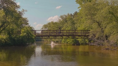 a long metal rust colored bridge over the silk brown waters of Little River with kids diving off the bridge surrounded by lush green trees, grass and plants with blue sky and clouds