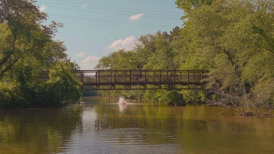 A wooden bridge over a calm river surrounded by dense greenery.