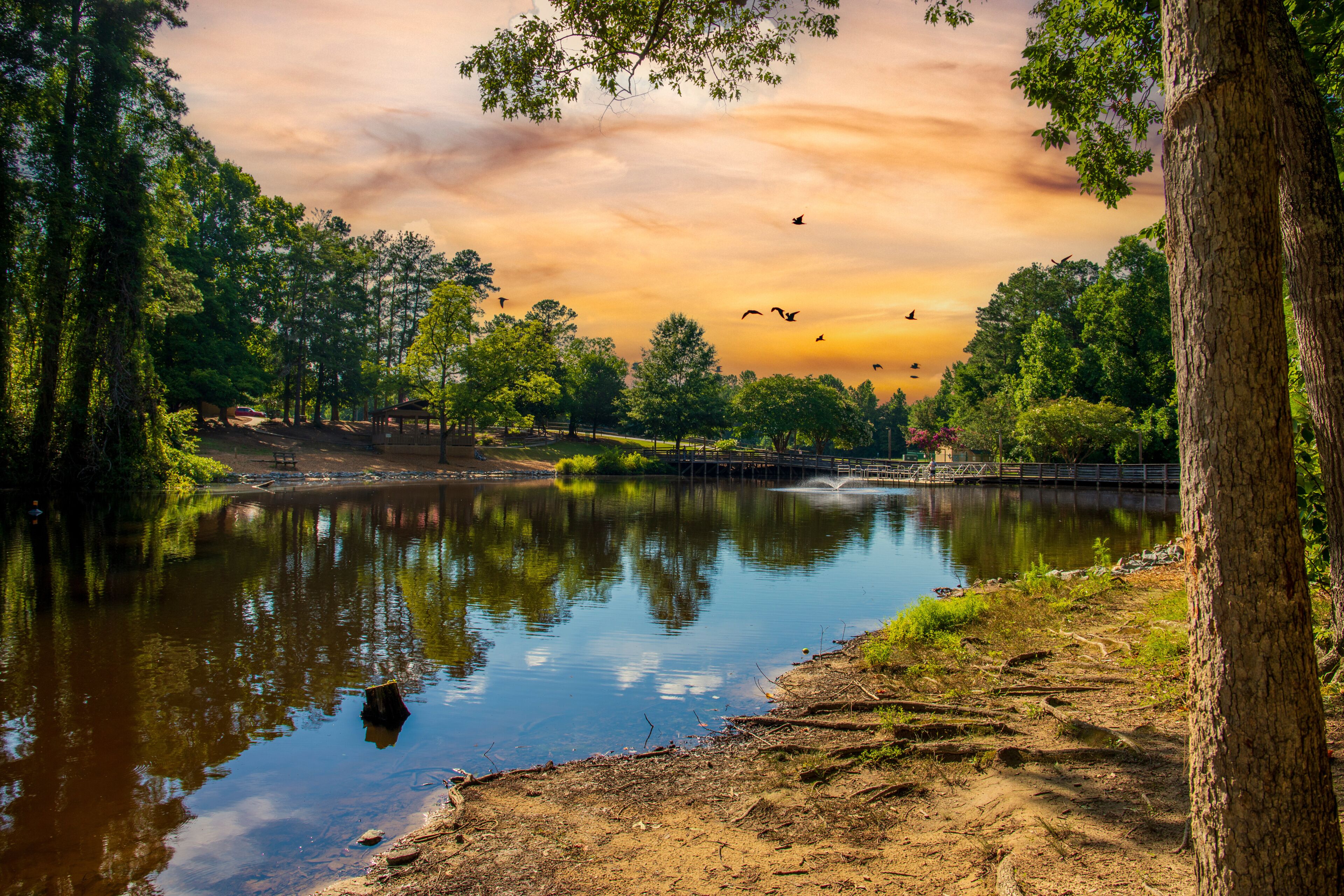 วูดสต็อก