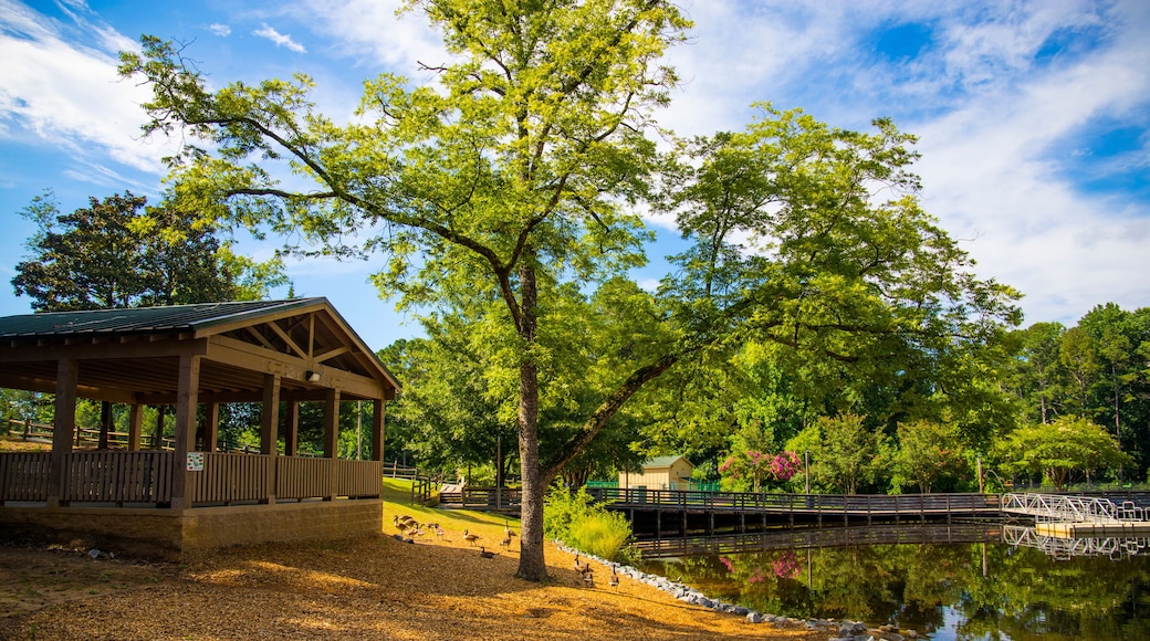 วูดสต็อก
