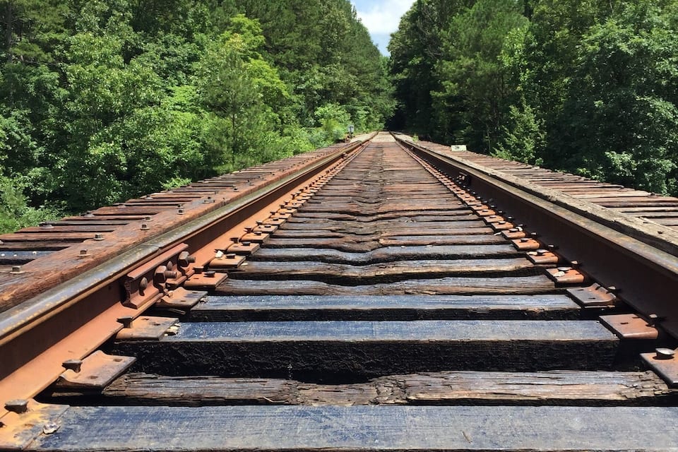 A railway track surrounded by dense green forest.