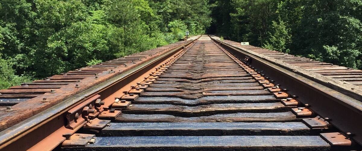 A railway track surrounded by dense green forest.