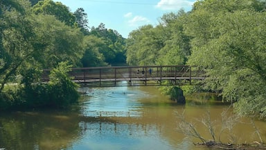a long metal rust colored bridge over the silk brown waters of Little River with kids diving off the bridge surrounded by lush green trees, grass and plants with blue sky and clouds
