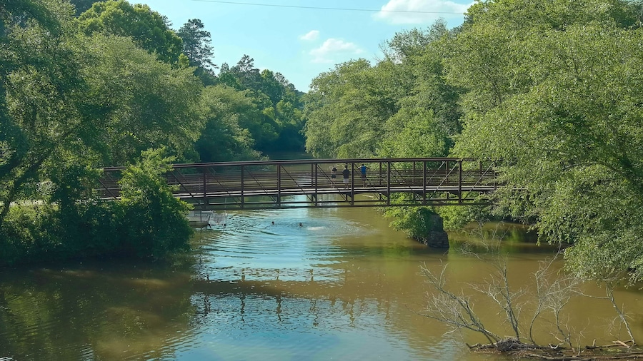 a long metal rust colored bridge over the silk brown waters of Little River with kids diving off the bridge surrounded by lush green trees, grass and plants with blue sky and clouds