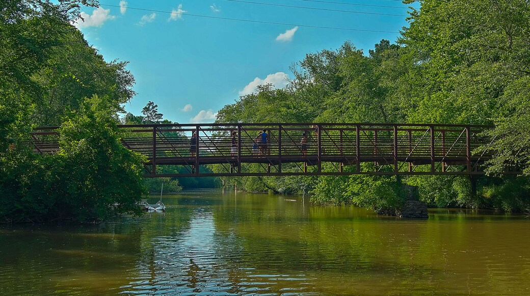 a long metal rust colored bridge over the silk brown waters of Little River with kids diving off the bridge surrounded by lush green trees, grass and plants with blue sky and clouds