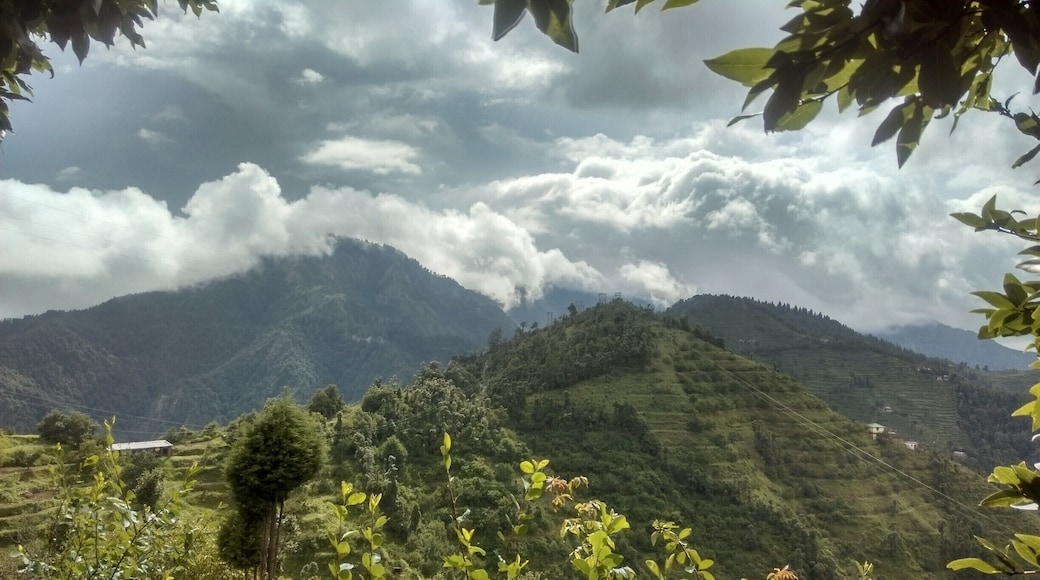 This place has a lots of beautiful views. On of them among them was this amazing capture in a frame. Fresh air, hot coffee, clods moving, leaving moving from the sound of air- This is what is called pure beauty.
#LifeAtExpedia