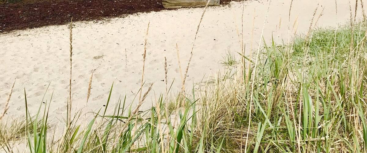 Norwegian beach walk