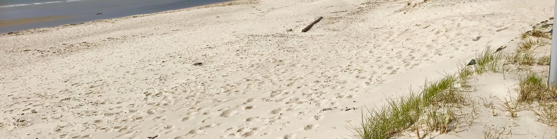 Norwegian beach walk