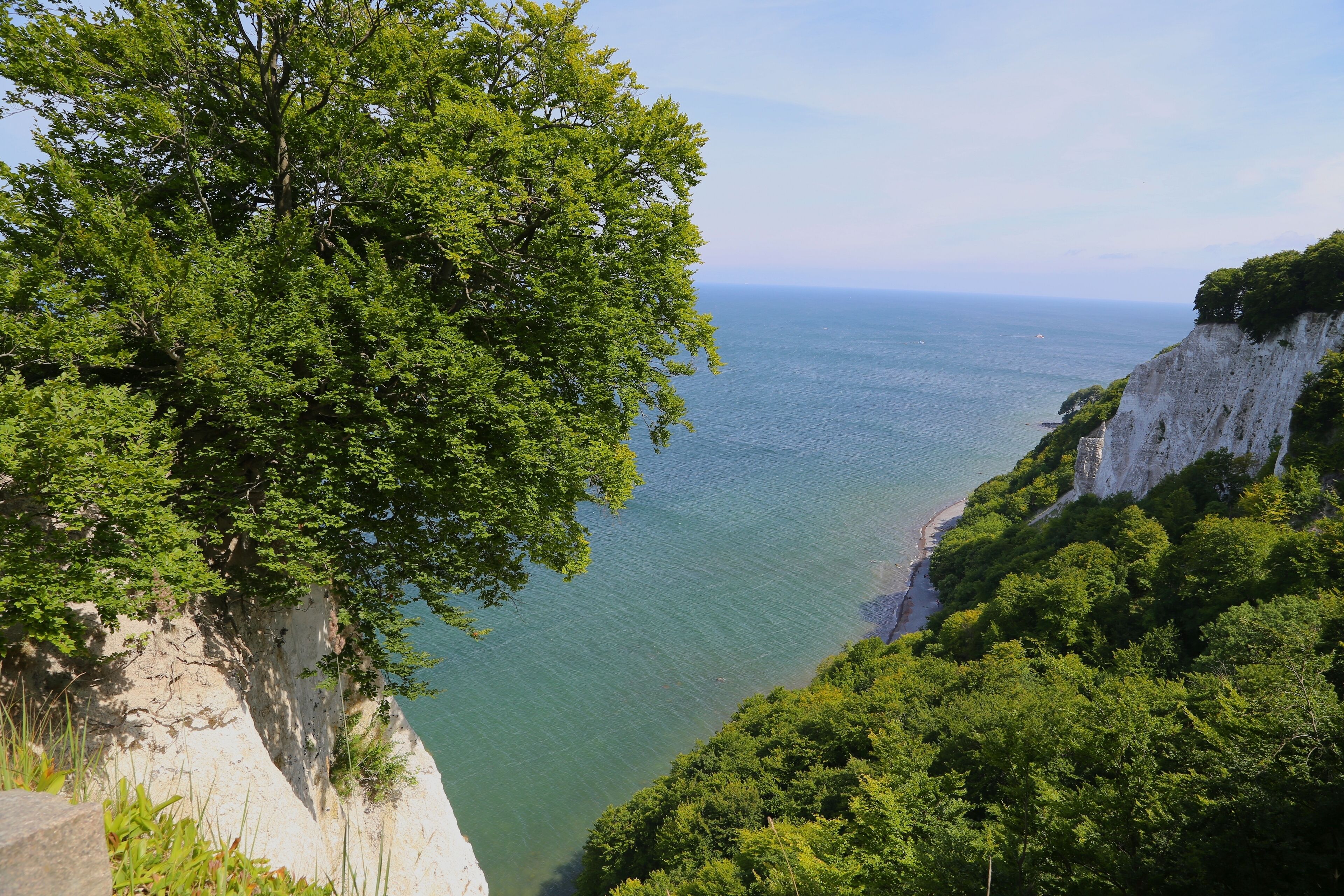 A coastal cliff with dense green foliage and a view of the sea.
