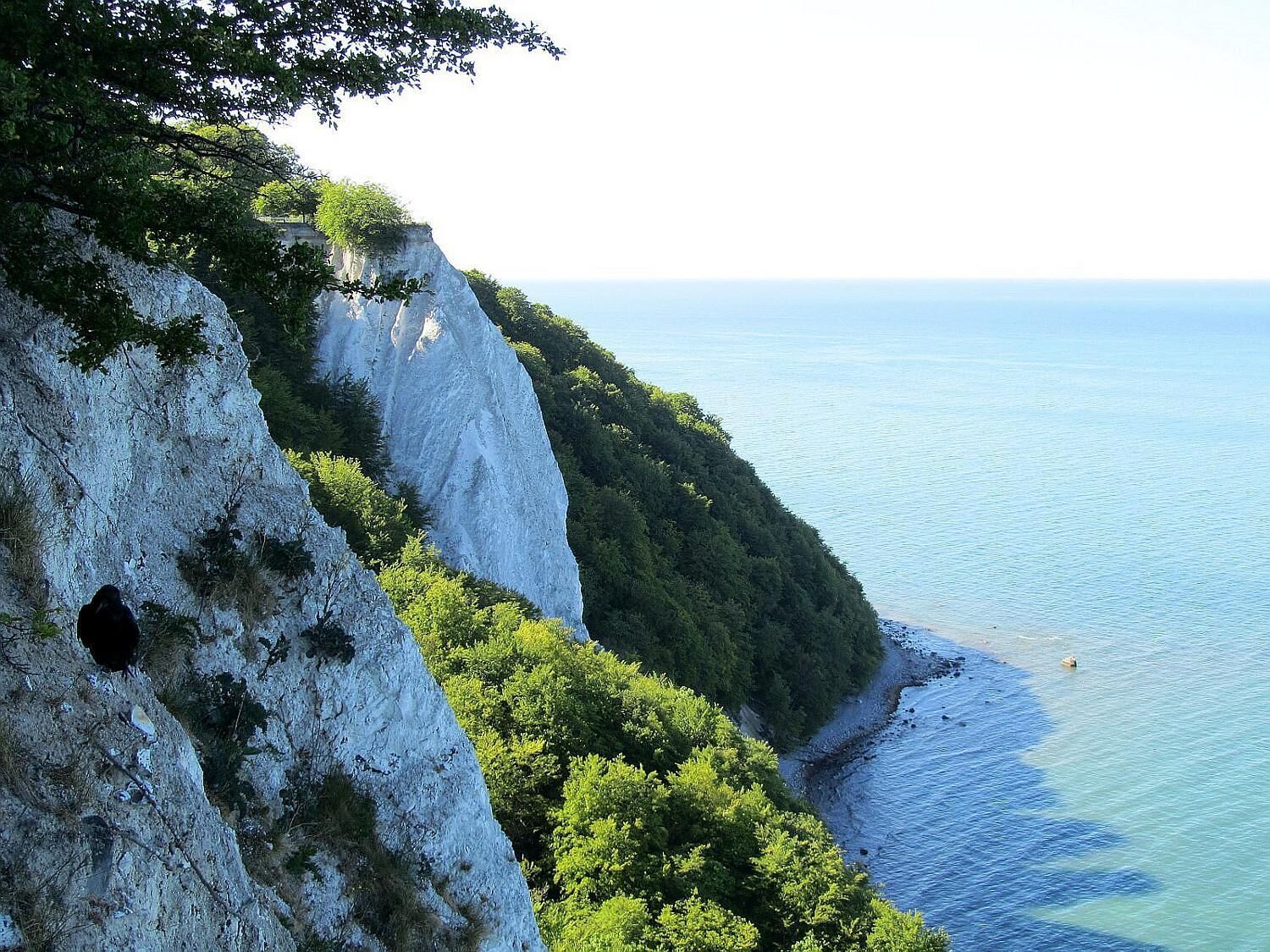 A coastal cliff with a hole, dense greenery, and a calm sea.