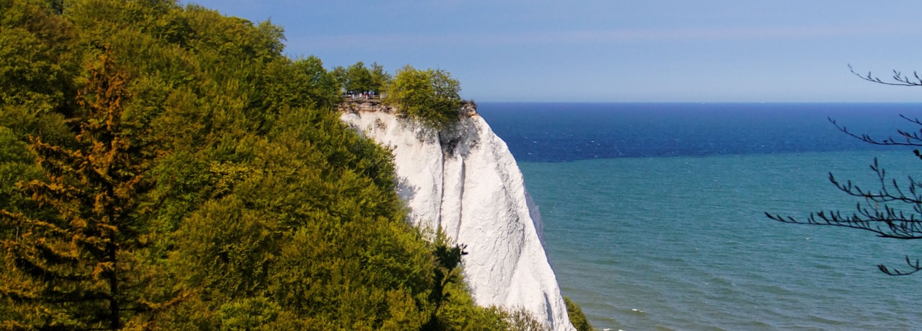 Eine Küstenklippe mit weißer Felswand, umgeben von dichtem Grünwald, und dem Meer im Hintergrund.