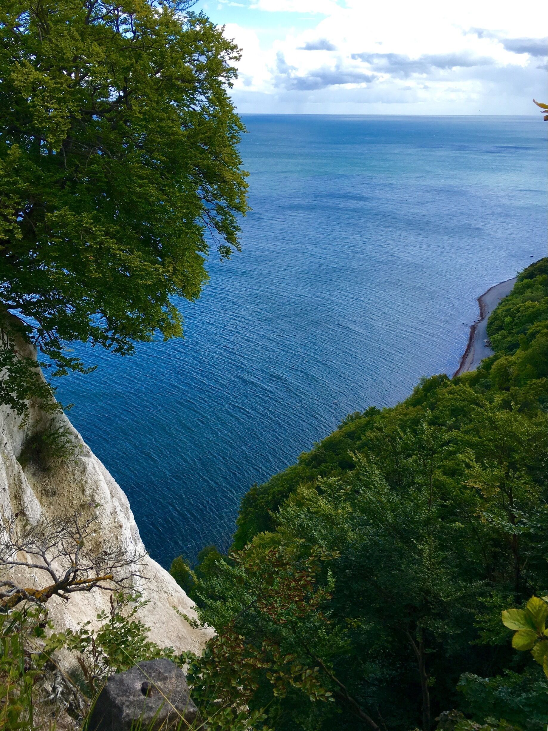 At the chalk cliffs, Stubbenkammer, on Rügen island

#green
