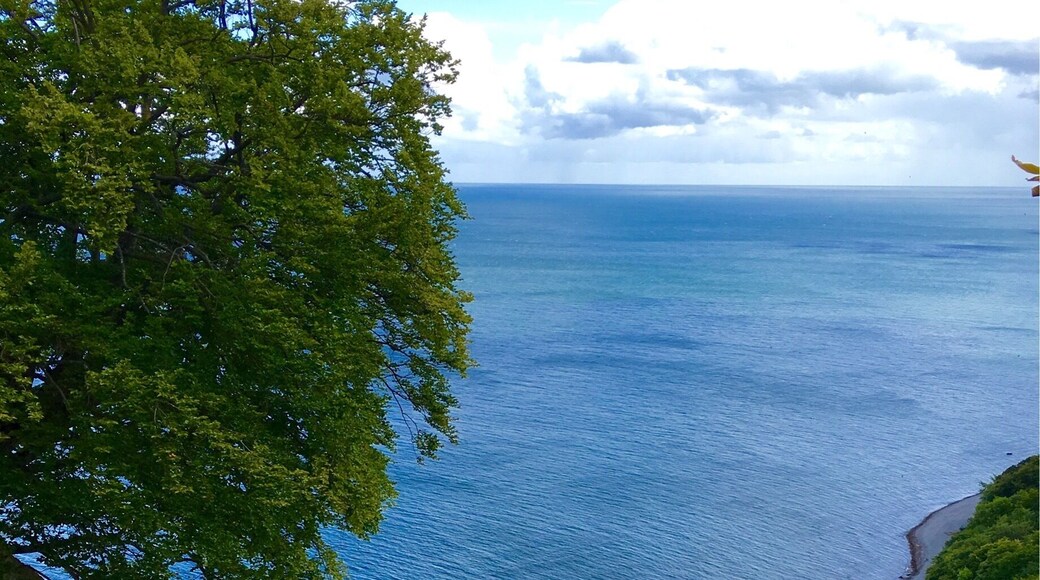 At the chalk cliffs, Stubbenkammer, on Rügen island
#green