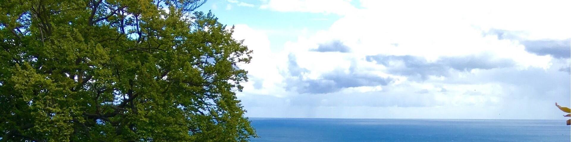 A coastal cliff with a view of the ocean.