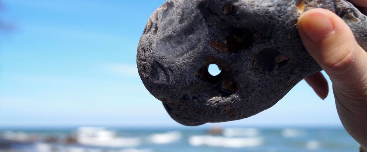 A Hühnergott (adder stone also called "hag stone", "witch stone" or "serpent's egg" in English) is a stone with a naturally occurring hole through it. These stones can be found along Rügen's Baltic Sea coast. They are said to have magical powers. We found a bunch of them below the Königsstuhl in the Jasmund National Park. Try your luck and try to find your own lucky charm!