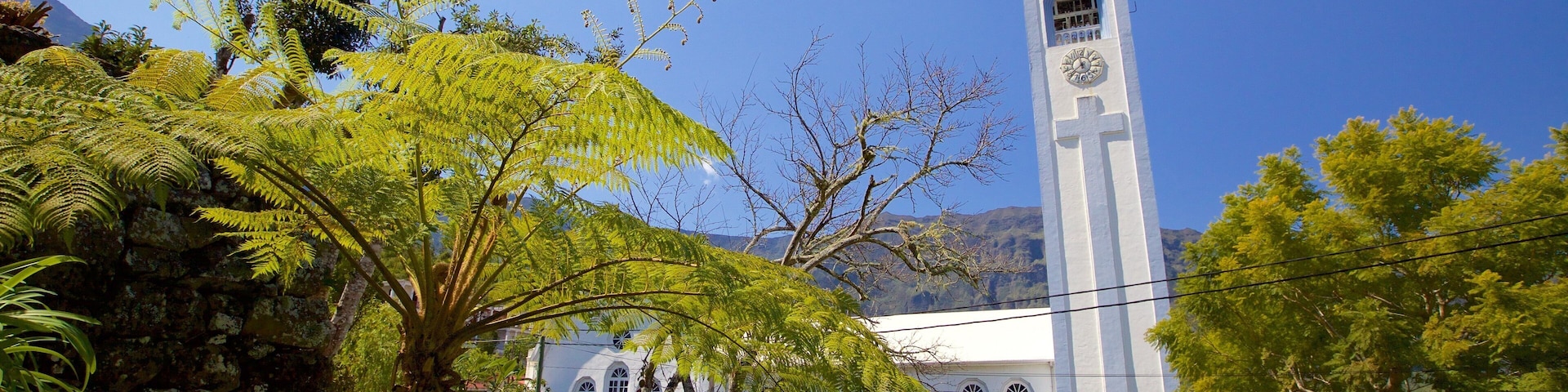 Cilaos showing a church or cathedral and a garden