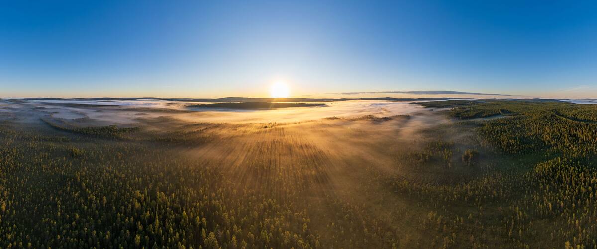 A forested landscape with a sunrise or sunset, casting rays of light through the trees.