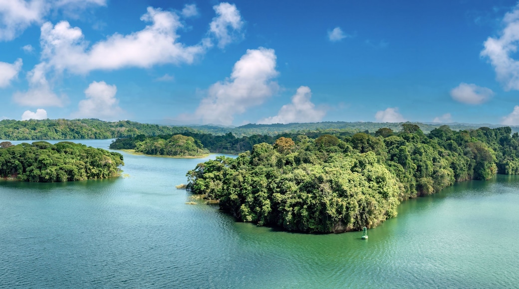 Protected nature surrounding Gatun Lake, a freshwater artificial lake to the south of Colón, Panama. It forms a major part of the Panama Canal