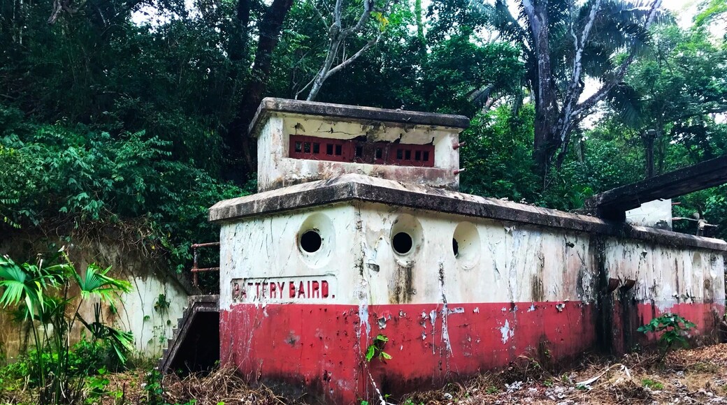 Very close to the marina, There is an old abandoned pre WWI base that is being reclaimed by the rain forest. Bring a flashlight if you want to explore the inside. There are hundreds of bats living there now. Definitely worth checking out!