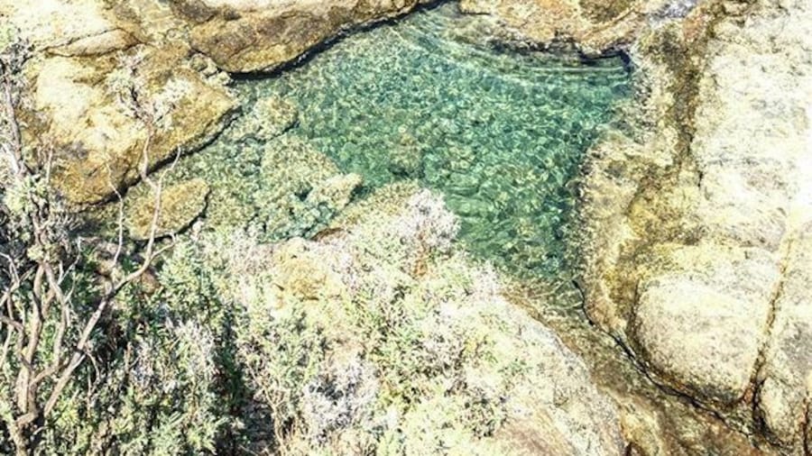 Castiglioncello, Natural pool