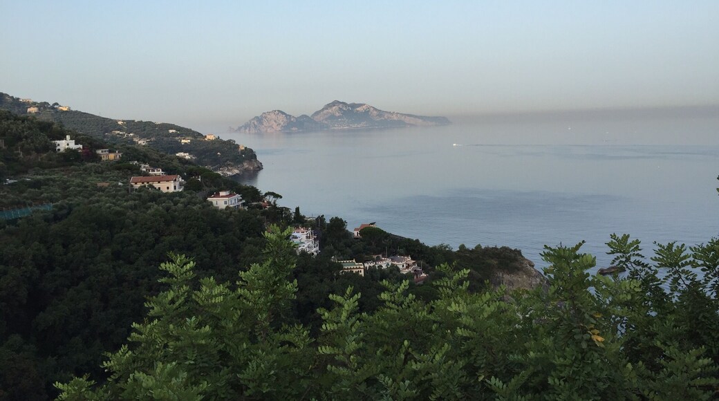 Looking across to Capri on an early summers morning.