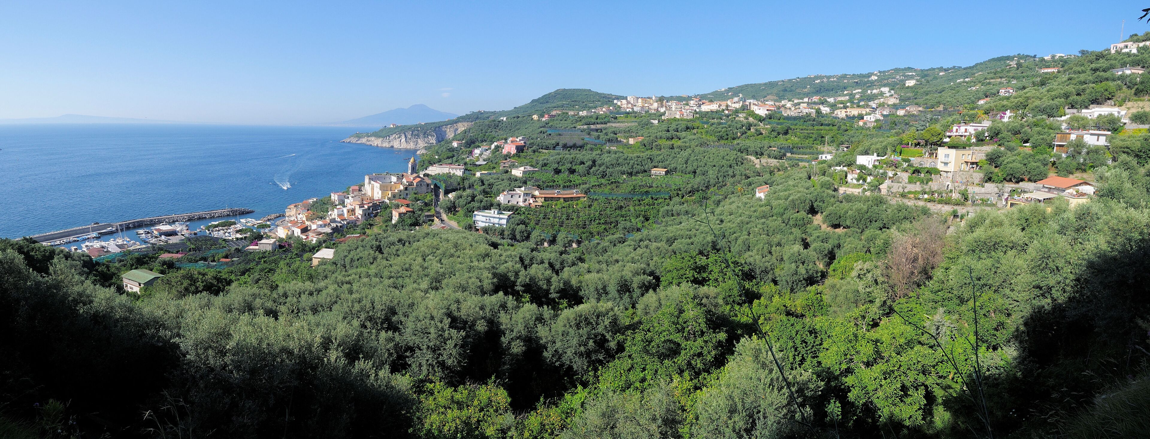 A coastal town with a marina, dense greenery, and a hilltop church.