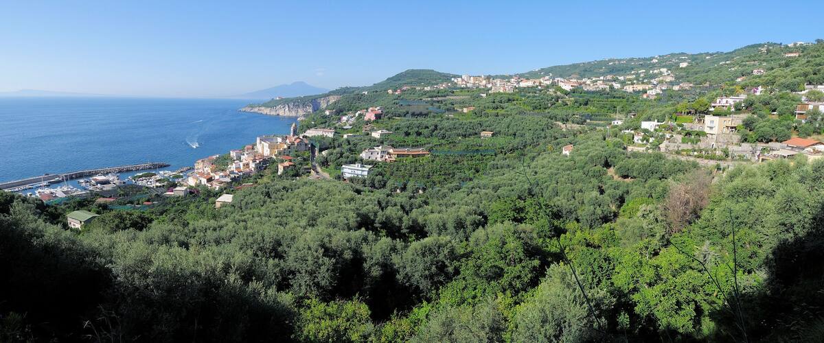 A coastal town with a marina, dense greenery, and a hilltop church.