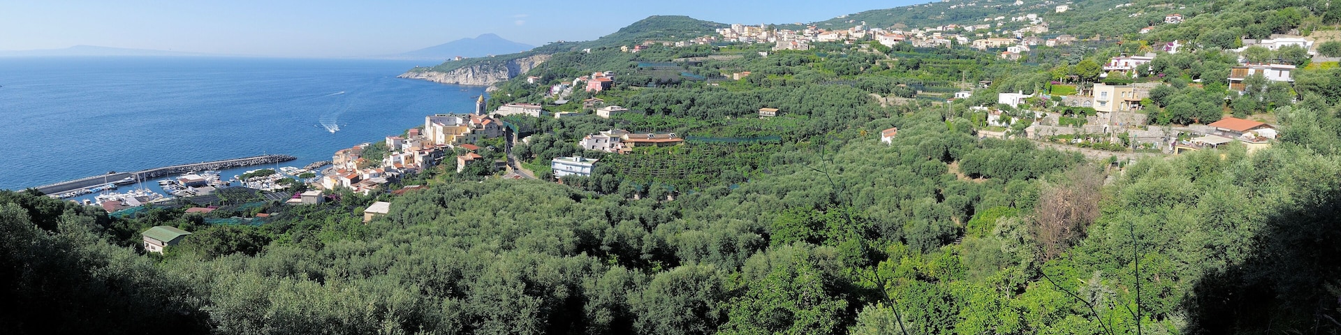 A coastal town with a marina, dense greenery, and a hilltop church.