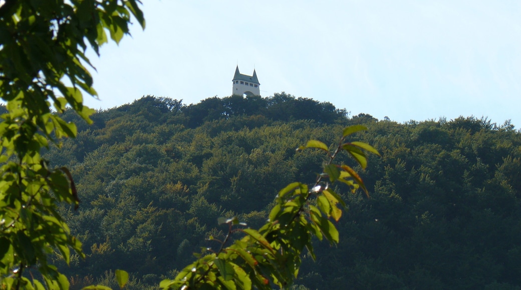 Schönbergturm Pfullingen - Pfullinger Onderhos