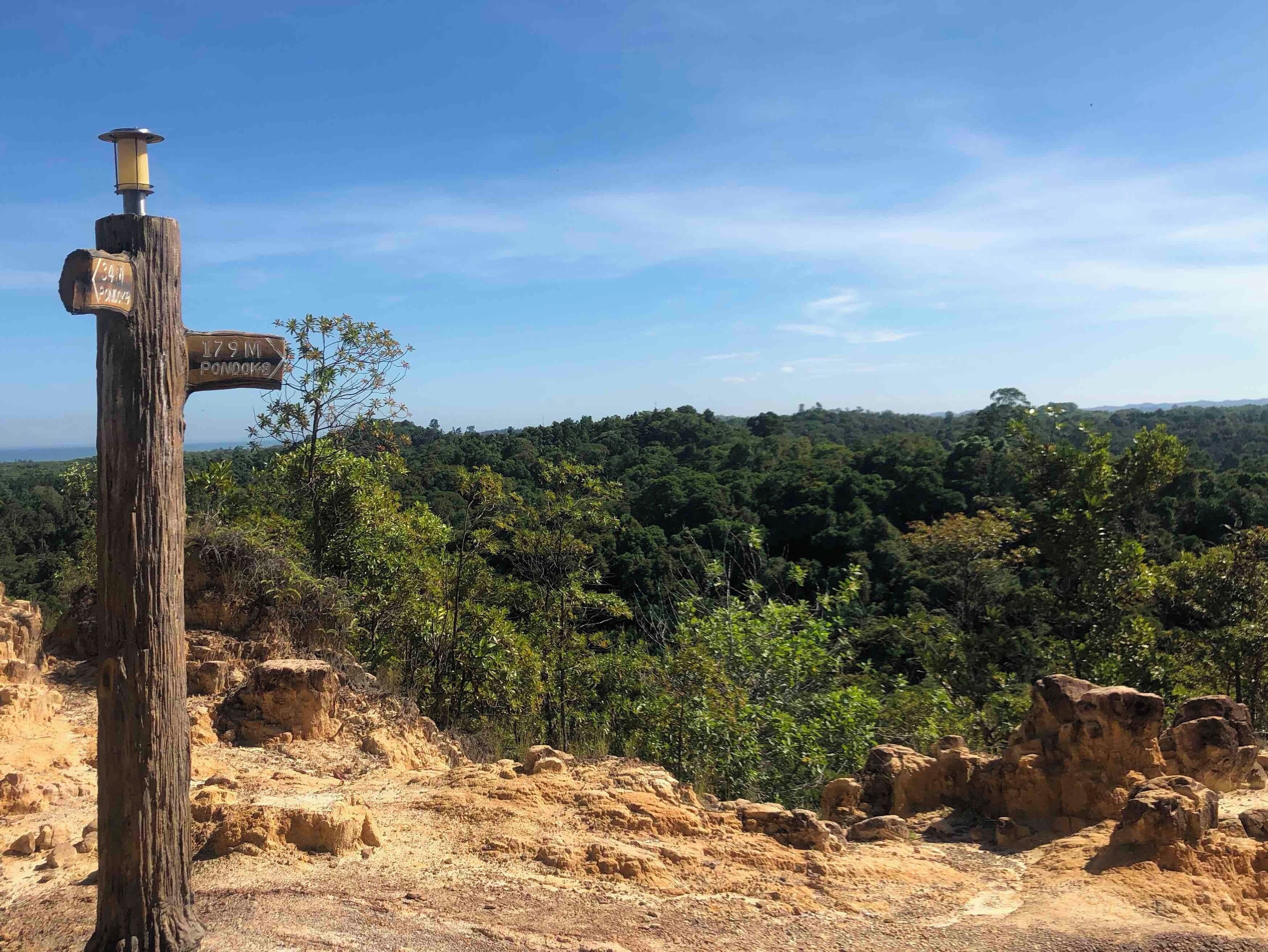 One of the lookout points at Bukit Shahbandar. So many walk options for any level of walker.