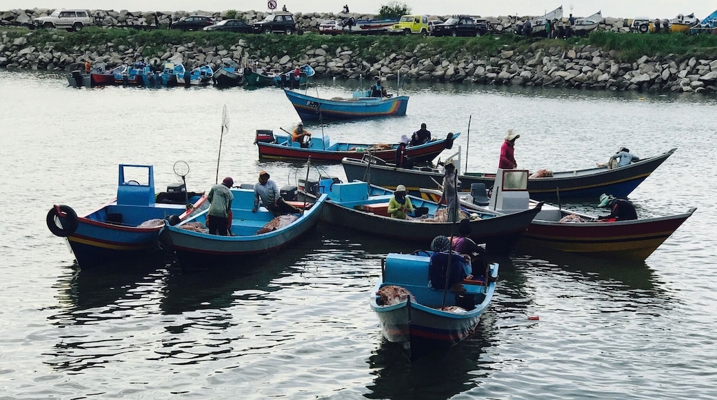 Local fishermen coming in with their afternoon catch