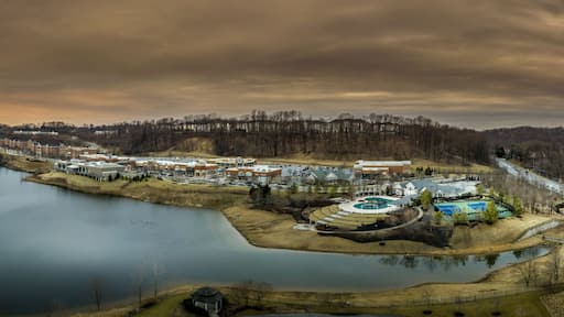 Owings Mills
