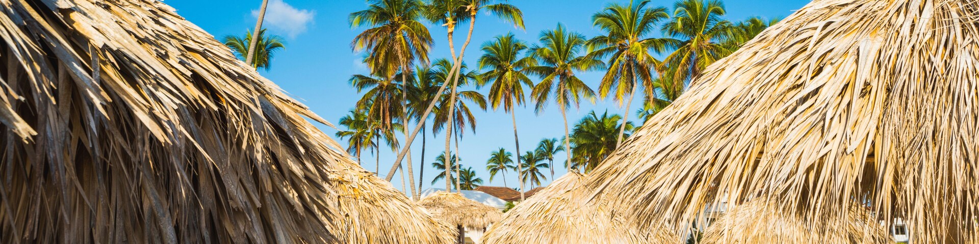 Uma praia com guarda-sóis de palha, palmeiras e um céu azul límpido.