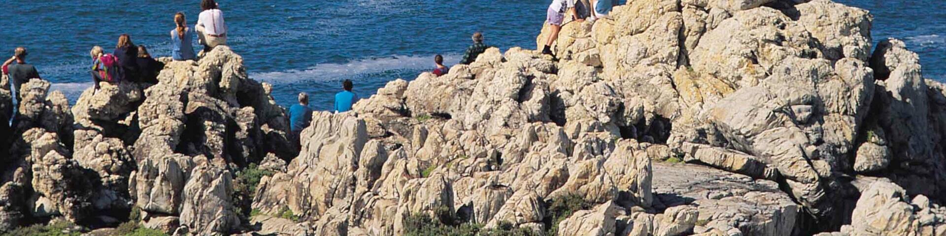 Hermanus caracterizando paisagem e litoral acidentado assim como um grande grupo de pessoas