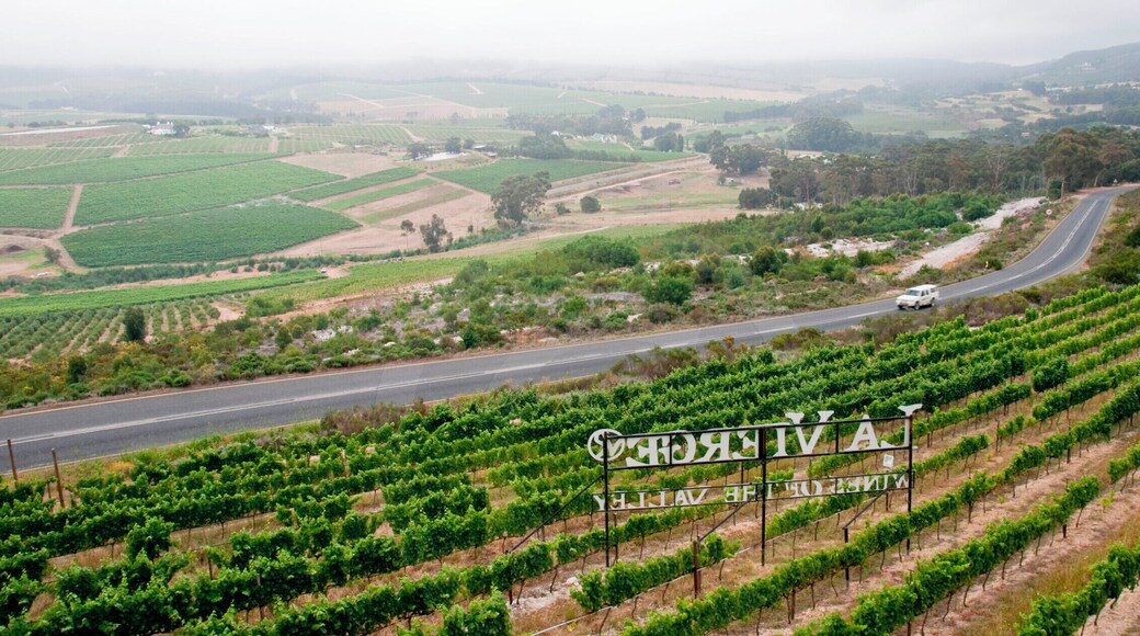 Along Hermanus Wine Route. Beautiful vineyards and lovely drive along the route. A perfect place to enjoy a cuppa!