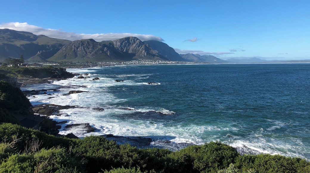 We had a lovely walk along the cliff path with some amazing coastal views - highly recommended if in Hermanus 💙
#blue