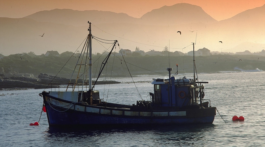 Hermanus som viser landskap, bukt eller havn og båter