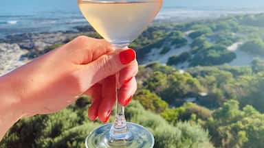 A hand holding a wine glass with a clear liquid, overlooking a coastal landscape with greenery and a view of the sea.