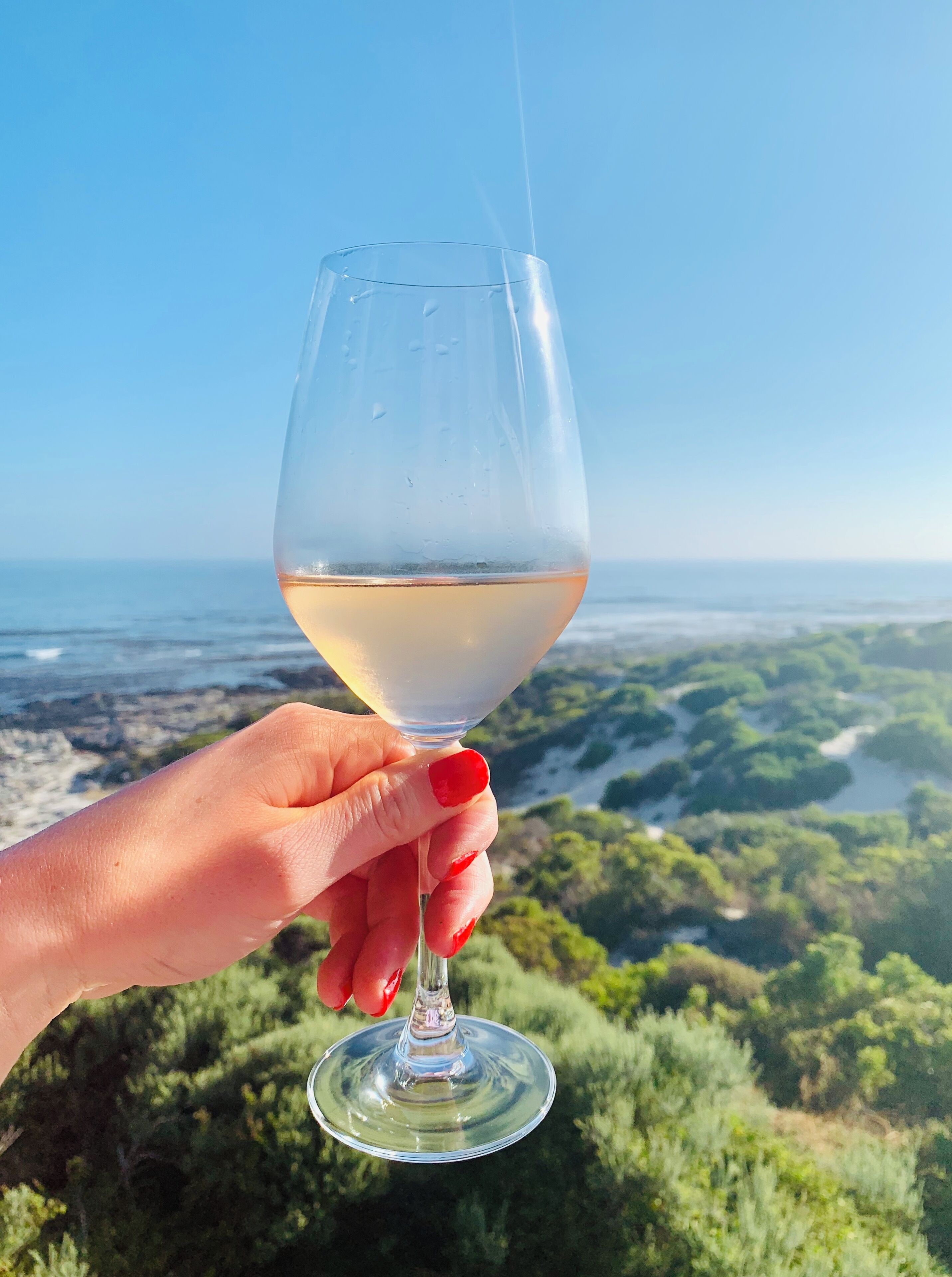 A hand holding a wine glass with a clear liquid, overlooking a coastal landscape with greenery and a view of the sea.
