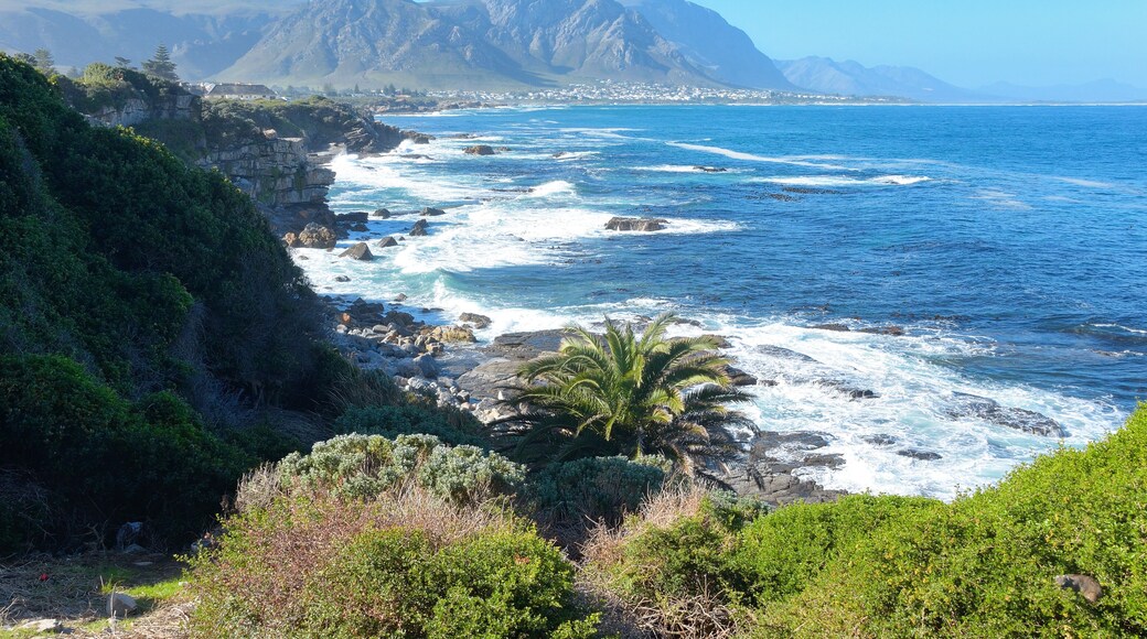 Beautiful ocean and coast landscape in Hermanus, South Africa