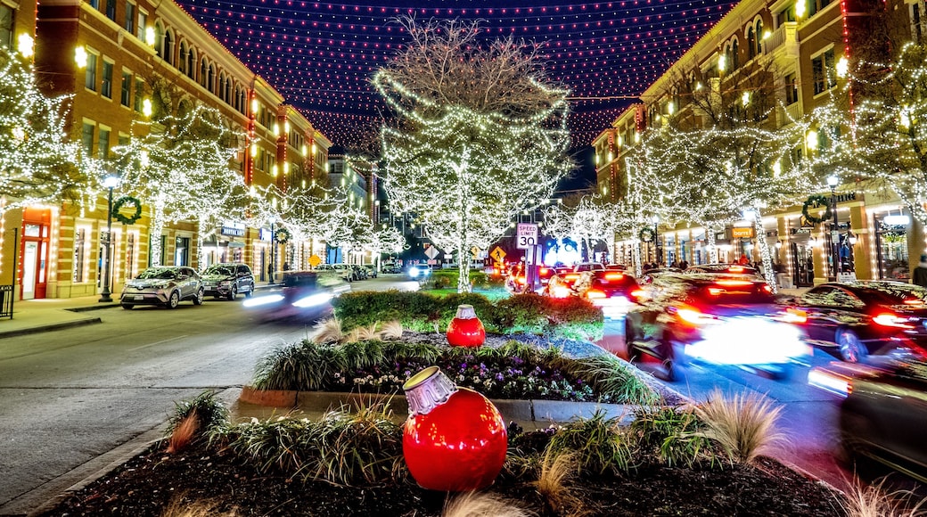 The holiday light show at Frisco’s city square is very impressive and set to music which viewers can tune in on their car radios for free.