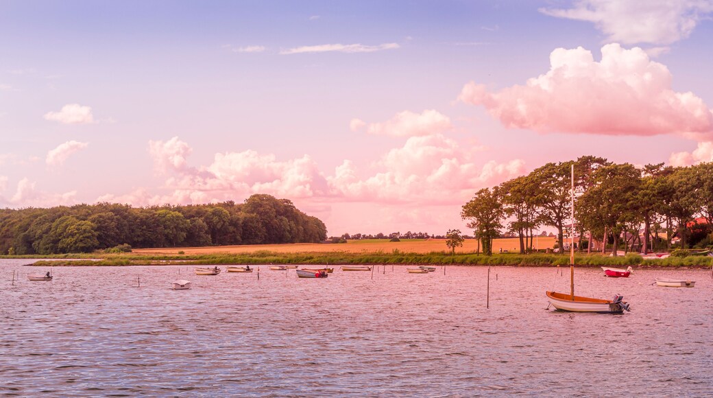 Barques et petits bateaux dans un port de plaisance