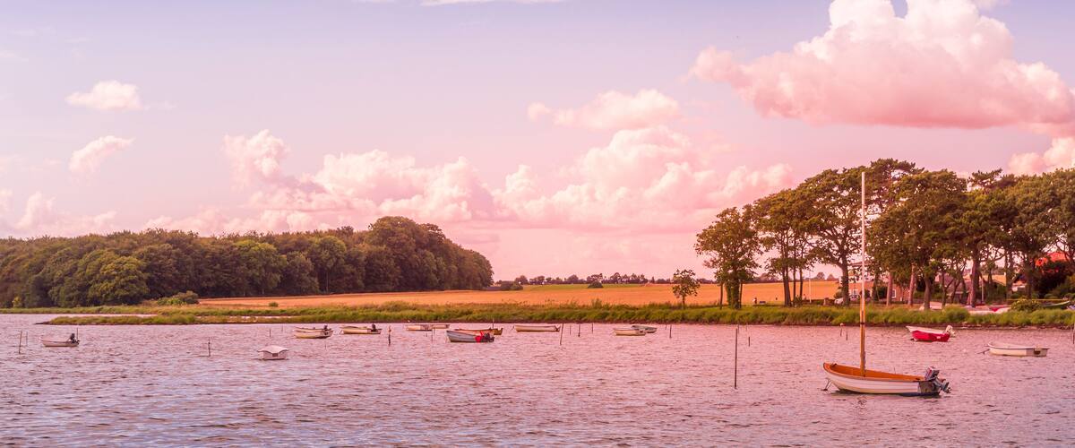 A calm lake with several small boats anchored near the shore, surrounded by trees and open fields.
