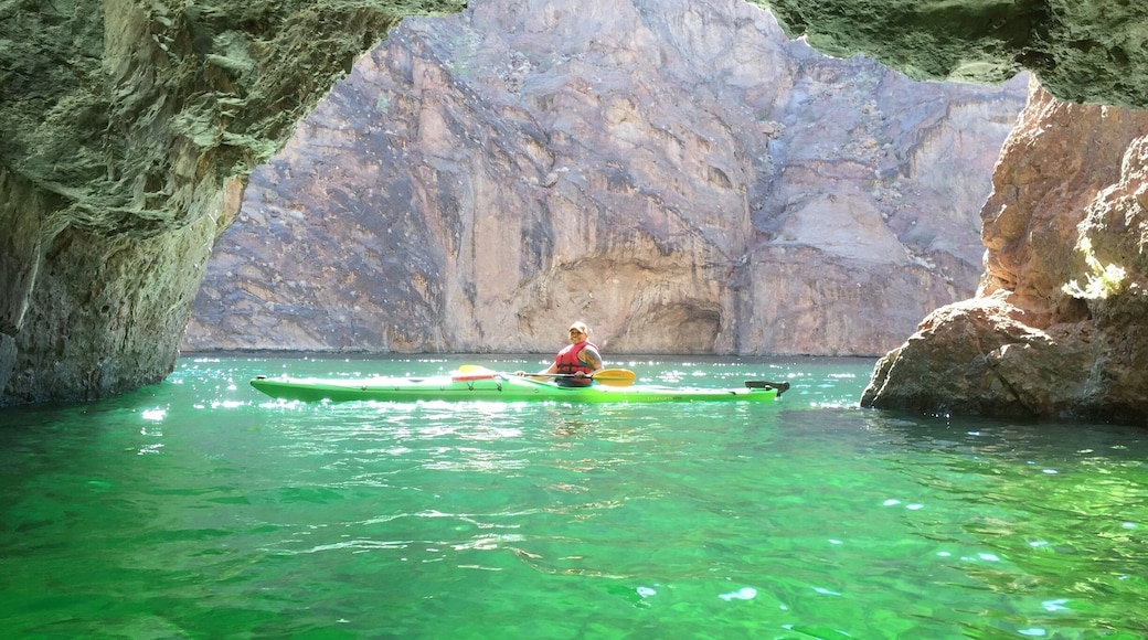 A fun half-day #kayak trip in the Black Canyon, it is just 2 miles upstream from Willow Beach to Emerald Cave (4 miles round trip). The cove is a great place to picnic and the cave, in the afternoon's light, is a great place for photographs!
See desert animals and vegetation of the Black Canyon; Mojave Desert Flora and Fauna. It was an almost 8 hour kayaking trip with some #hiking involved. We started at the Hoover dam, the views of the Black Canyon are nothing short of breathtaking. #AquaTrove #nature