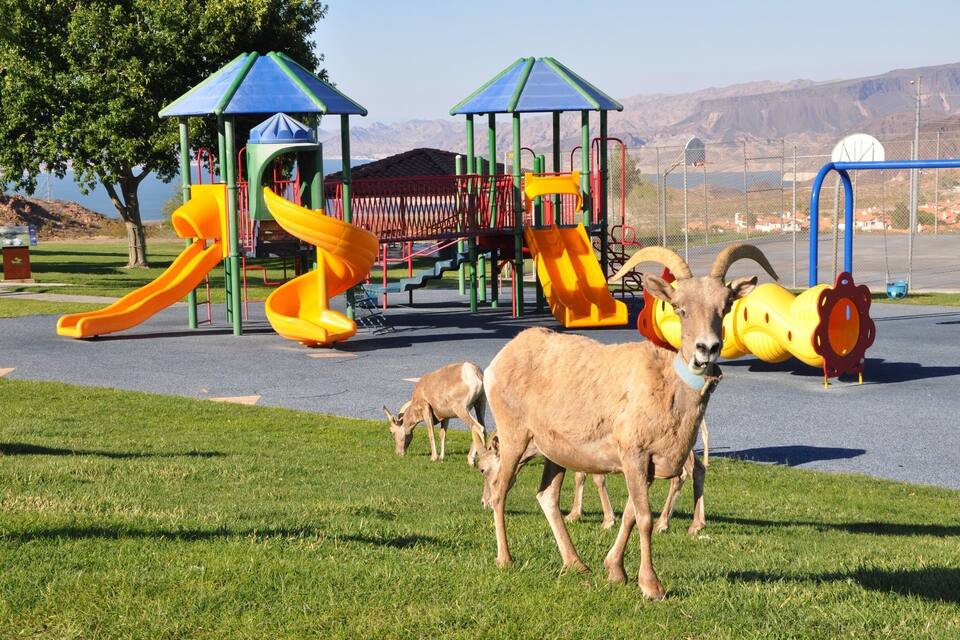A playground with slides and climbing structures, a grassy area, and mountains in the background.